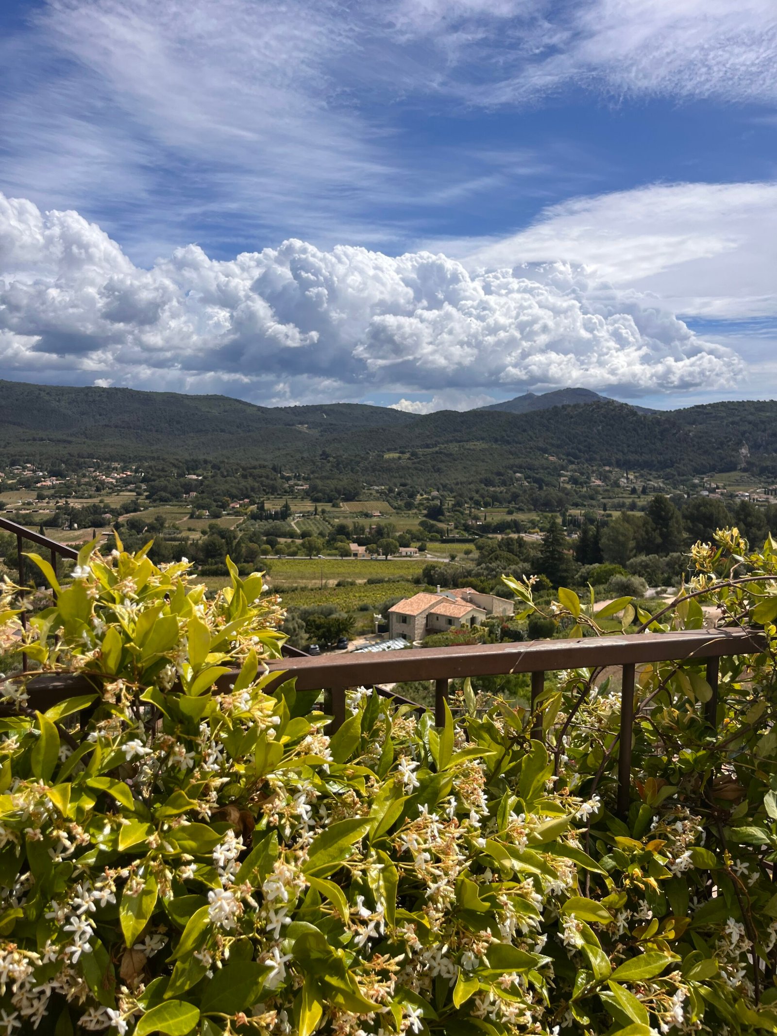 vignoble luberon la provence autrement